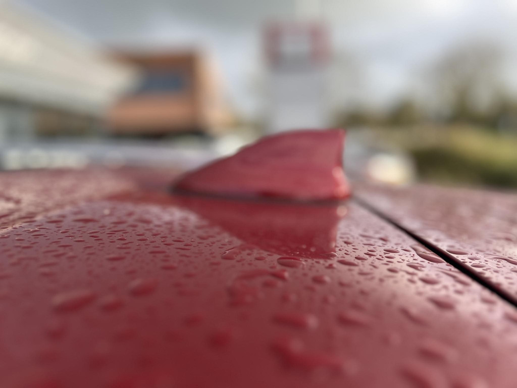 48649972-8.jpg