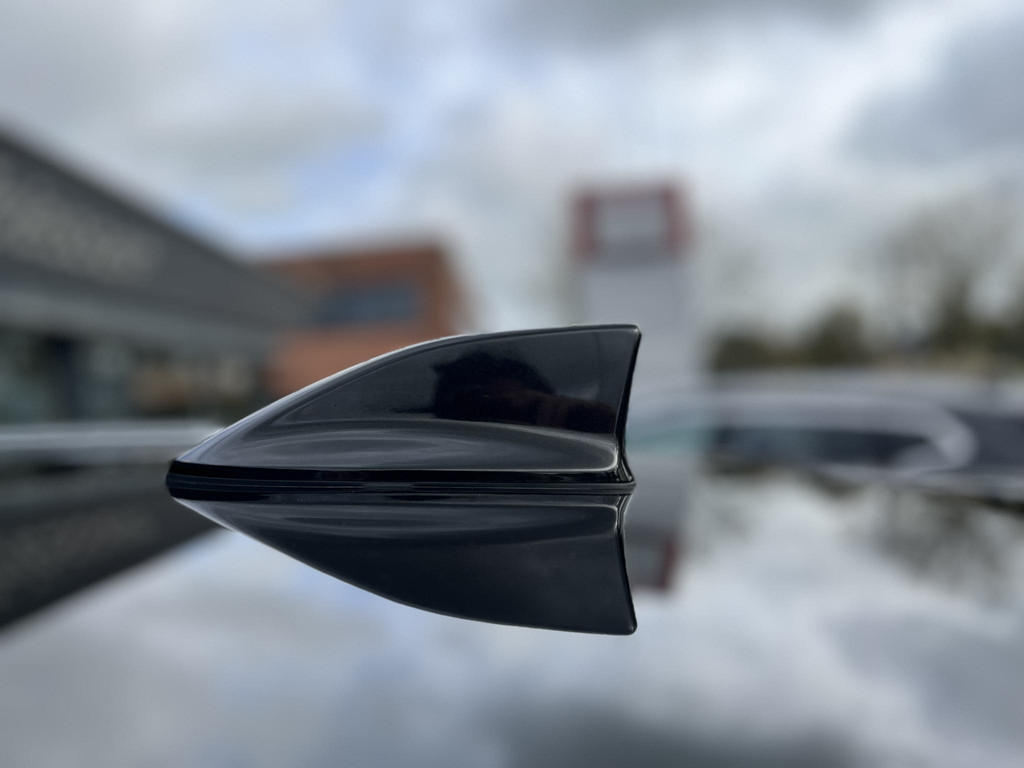 48650224-20.jpg